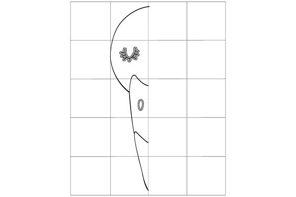 Practical Review: Flamingo Symmetry Drawing for Crafts and Coloring Pages
