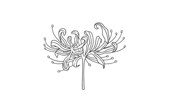 Red Spider Lily Coloring Page: A Versatile Asset for Crafts & Nature Amp Brands