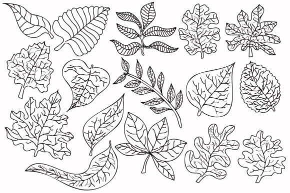 Why I'm Adding Different Types of Leaves to My Embroidery Toolkit